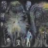 Dinosaur Jr | There Near 