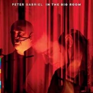Gabriel Peter | In The Big Room - Live At The Real World Studio 2003