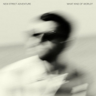 New Street Adventure | What Kind Of World? 
